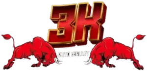3KAUTOPLUS.NET